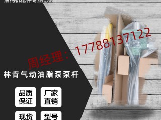 盾构机配件林肯油脂泵泵杆84902/84901/84976